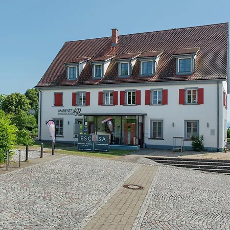 Altes Schulhaus アパート *