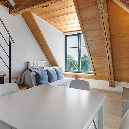 Altes Schulhaus アパート